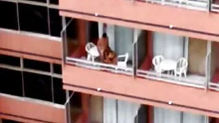 আলে ফা সেক্স ভিডিও mp4