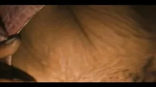 পেনেলোপ কা কা তার সৎ বাবা বাধ্য তার যৌনসঙ্গম নাতাশা সেক্স ভিডিও ভগ মধ্যে.